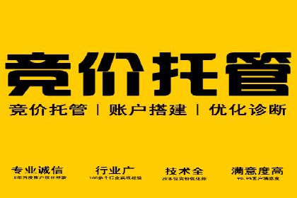 竞价推广公司案例分析：成功案例解析